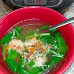 instant pot turkey meatball soup