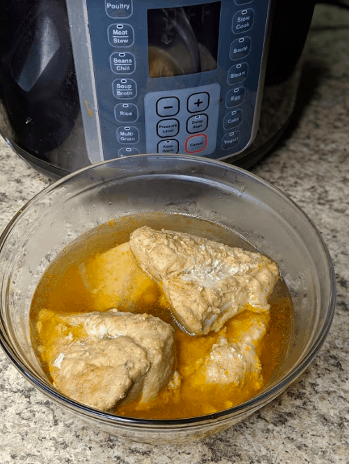 instant pot chicken and rice