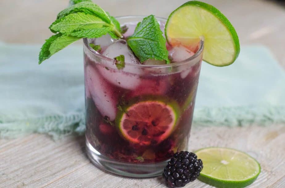 Weight Watchers Mojito