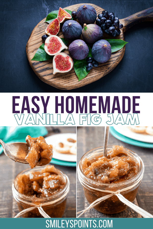 Easy Homemade Vanilla Fig Jam Recipe