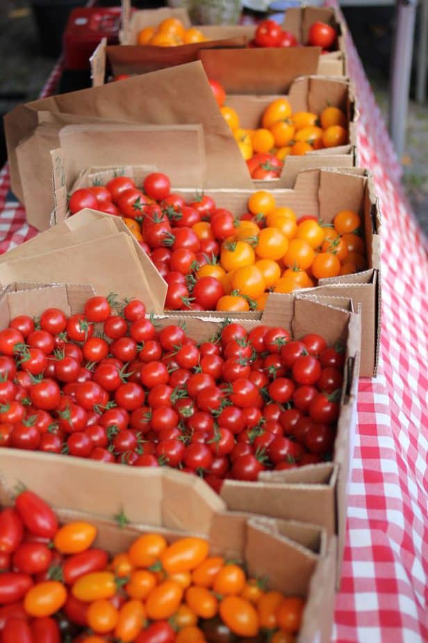 Tomatoes in boxes on a table covered with a red and white cloth