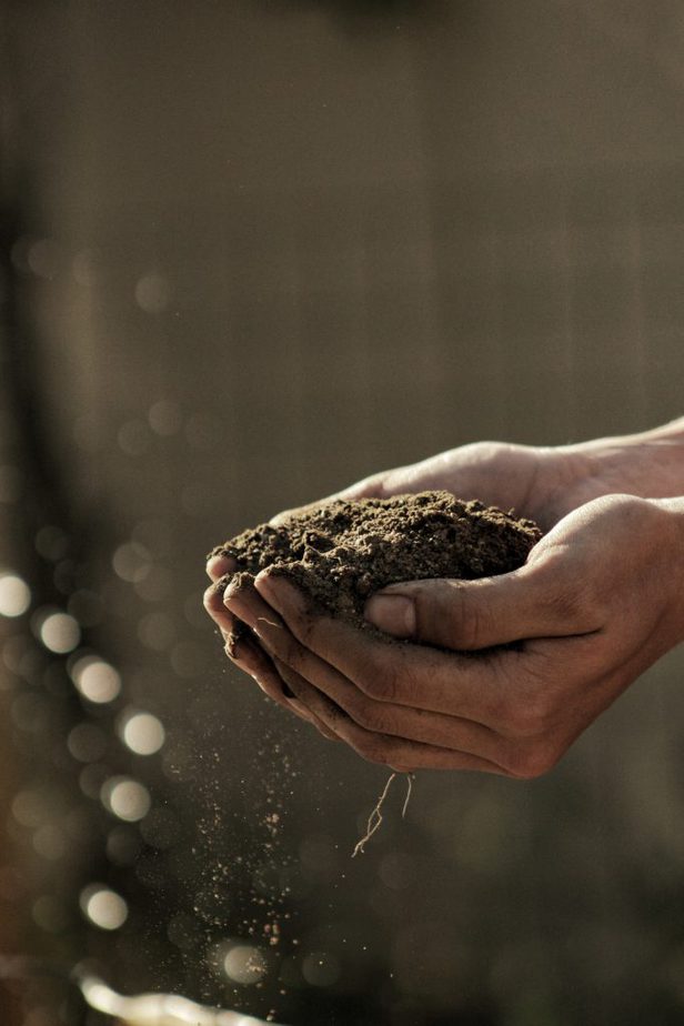 Hands holding dirt